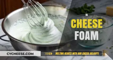 Is Cheese Foam the Next Big Trend in Culinary Innovation?