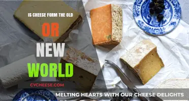 Cheese Origins Unveiled: Old World Tradition or New World Innovation?