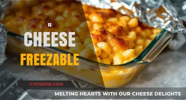 Can You Freeze Cheese? A Guide to Proper Storage and Thawing