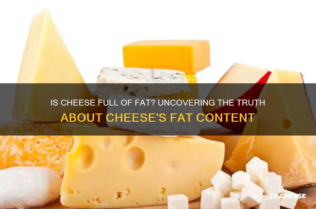 is cheese full of fat