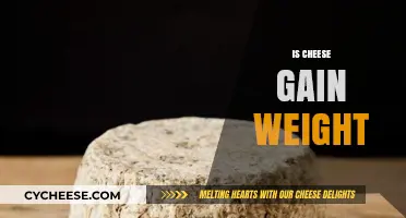 Does Cheese Cause Weight Gain? Facts and Myths Debunked