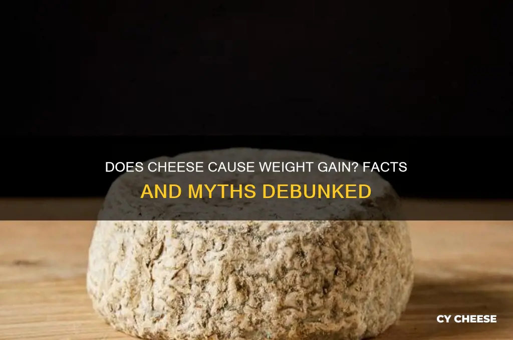 is cheese gain weight