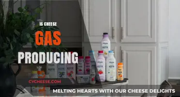 Does Cheese Cause Gas? Unraveling the Dairy Dilemma