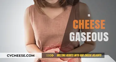 Is Cheese Gaseous? Unraveling the Science Behind Cheesy Burps