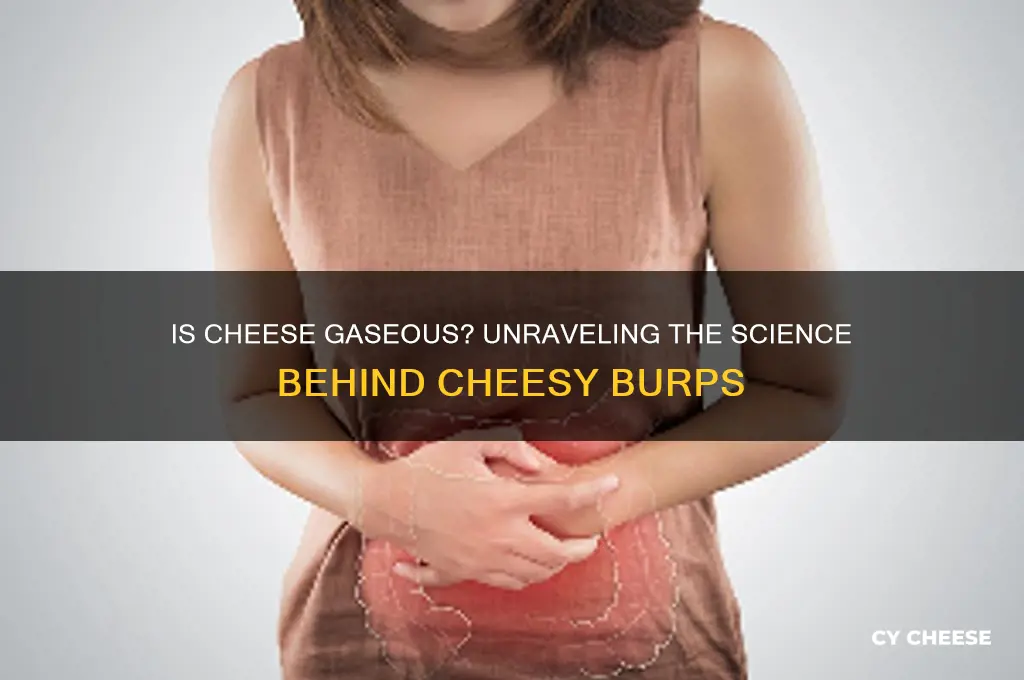 is cheese gaseous