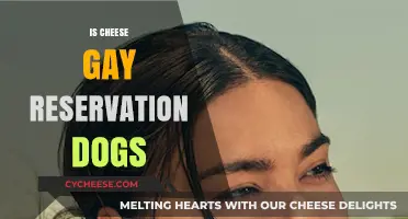 Is Cheese Gay in Reservation Dogs? Exploring the Character's Identity