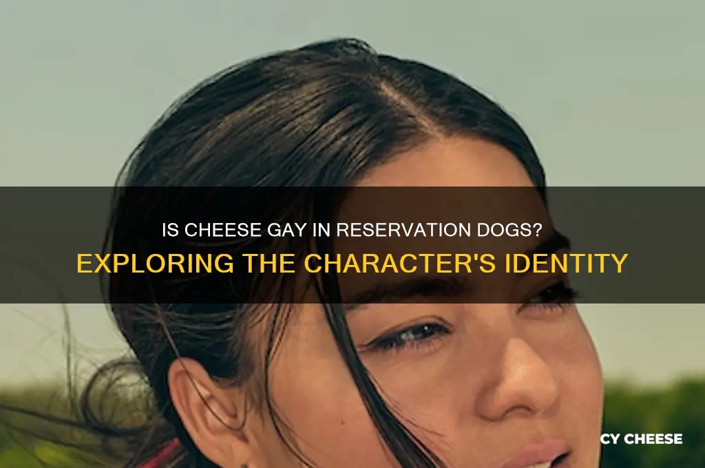 is cheese gay reservation dogs