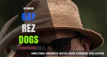 Is Cheese Gay in Rez Dogs? Exploring the Character's Identity