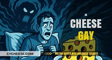 Is Cheese Gay? Debunking Stereotypes and Embracing Food Freedom