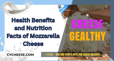 Is Cheese Healthy? Uncovering the Nutritional Truth About Dairy