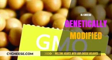 Is Cheese Genetically Modified? Unraveling the Truth Behind Your Favorite Dairy