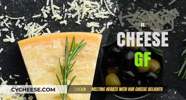 Is Cheese Gluten-Free? A Complete Guide to Safe Cheese Choices