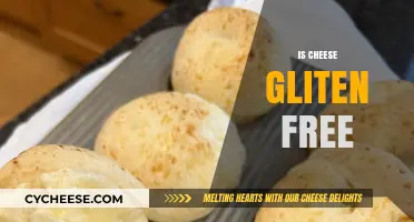 Gluten-Free Diets: Is Cheese Safe to Eat?