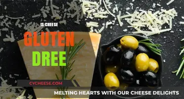 Is Cheese Gluten-Free? A Complete Guide to Safe Cheese Choices