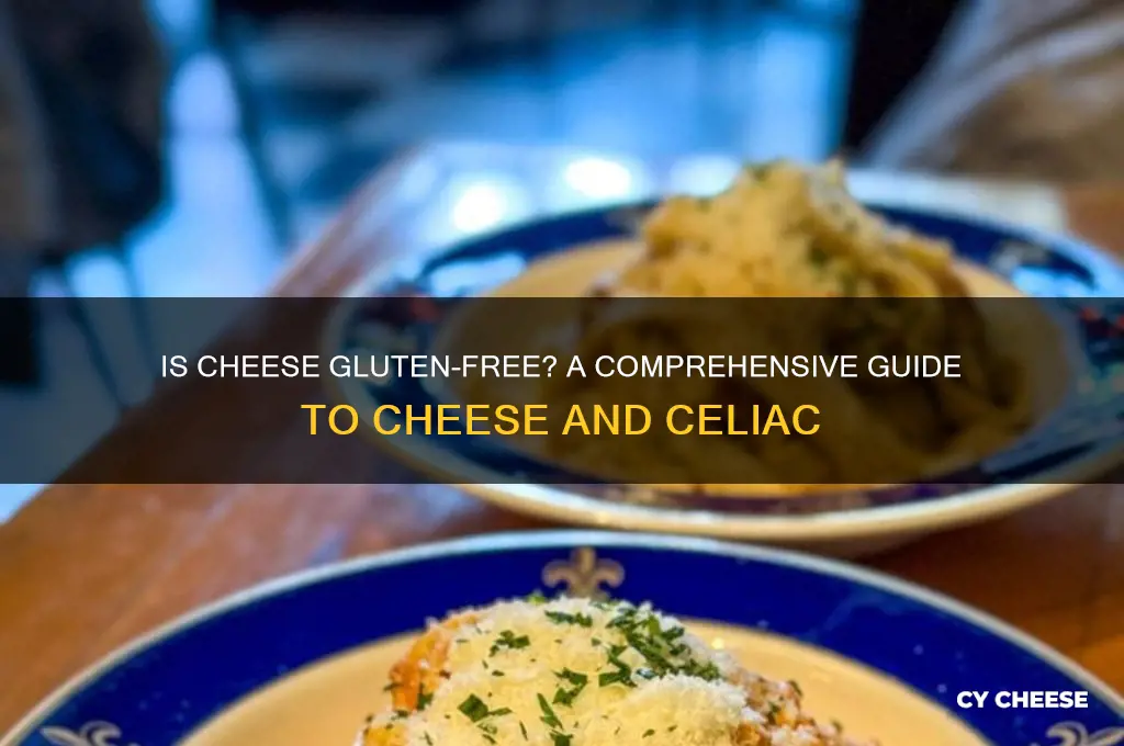 is cheese gluten feee