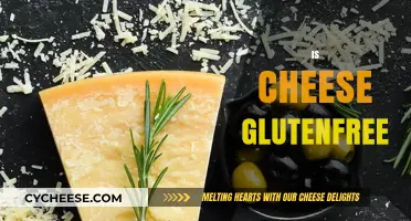 Is Cheese Gluten-Free? A Comprehensive Guide to Safe Cheese Choices