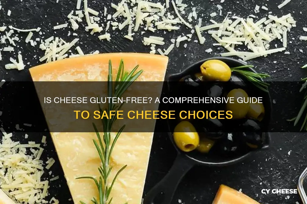 is cheese glutenfree