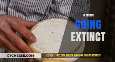 Is Cheese Disappearing? Exploring the Future of Dairy Delights
