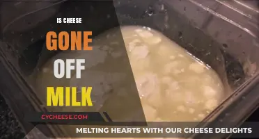 Is Cheese Made from Spoiled Milk? Unraveling the Dairy Mystery