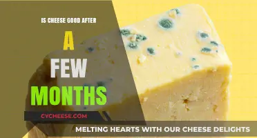 Cheese Expiry: How Long Does it Last?