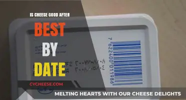 Cheese Beyond Best-By Dates: Safe to Eat?