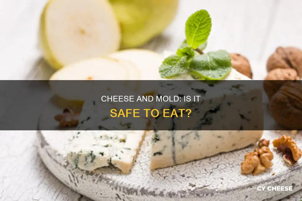 is cheese good after moldy parts cut off