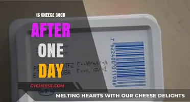 Cheese's Shelf Life: How Long Does it Last?