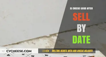 Cheese After Sell-By Date: Safe to Eat?