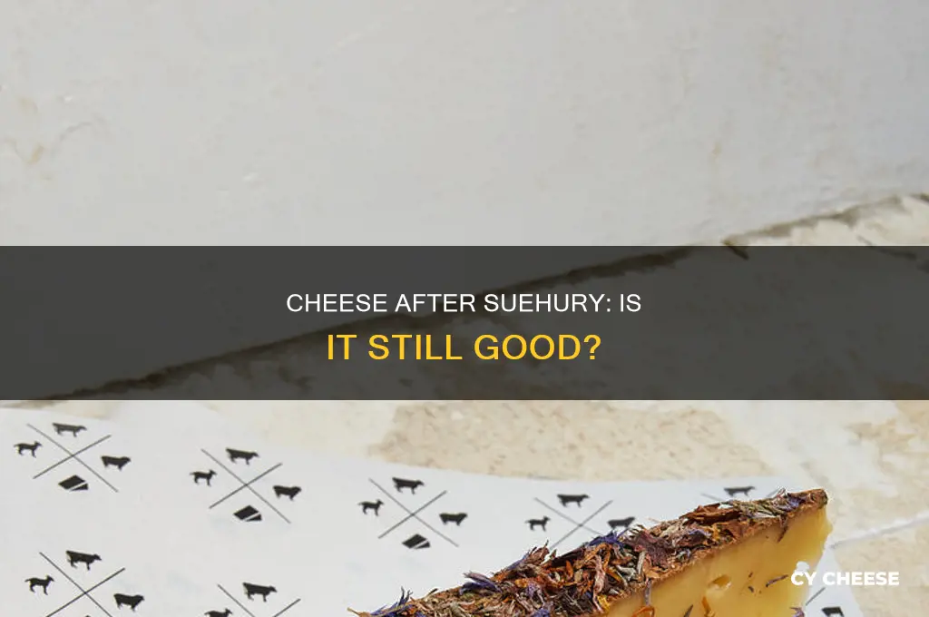 is cheese good after suehury