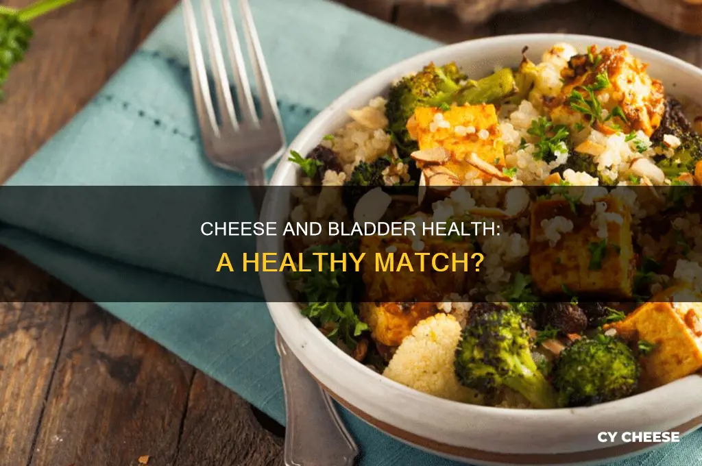 is cheese good bladder food