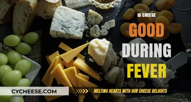 Cheese Consumption During Fever: Is It Safe?