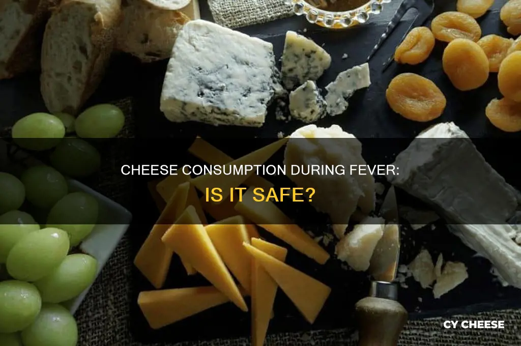 is cheese good during fever