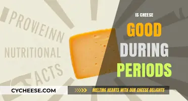 Cheese: A Healthy Snack During Periods?