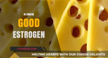Cheese and Estrogen: A Healthy Relationship?