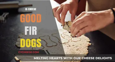 Cheese and Dogs: A Healthy Treat?