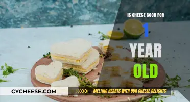 Cheese for Toddlers: What You Need to Know