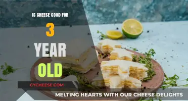 Cheese and Toddlers: What Parents Should Know