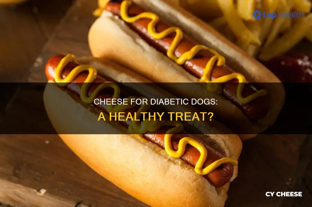 is cheese good for a diabetic dog