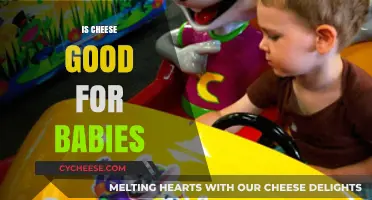 Cheese for Babies: Is It Safe?