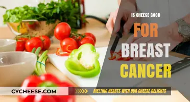 Cheese and Breast Cancer: What's the Link?