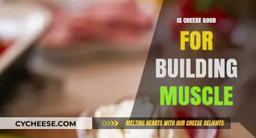 Cheese and Muscle Growth: A Protein-Rich Dairy Delight?