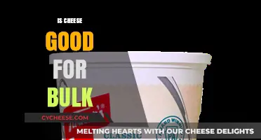 Cheese for Muscle Gain: Good or Bad?