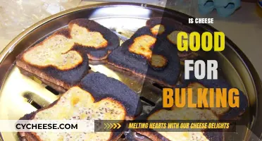 Is Cheese a Bulking Ally? Nutrition Facts and Benefits Explained