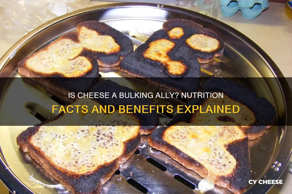 is cheese good for bulking