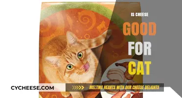 Cheese and Cats: A Healthy Mix?