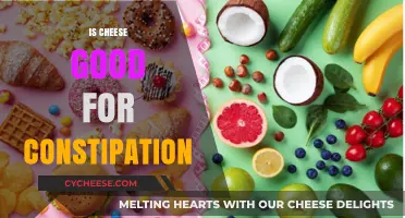 Can Cheese Relieve Constipation? Exploring Dairy's Impact on Digestion