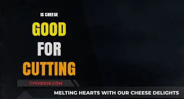 Cheese Cutting: The Ultimate Guide to Perfect Slices