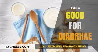 Cheese and Diarrhea: What You Need to Know