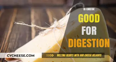 Cheese and Digestion: Unraveling the Impact on Your Gut Health