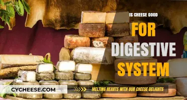 Cheese and Digestion: Friend or Foe?